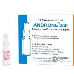 Androne 250 (Test Enanthate) by Caspian Tamin Pharmaceuticals