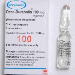 Deca Durabolin (Nandrolone Decanoate) by Organon