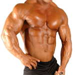 steroids for bodybuilding