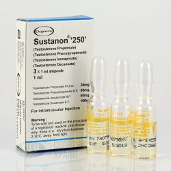 Sustanon 250 by Organon