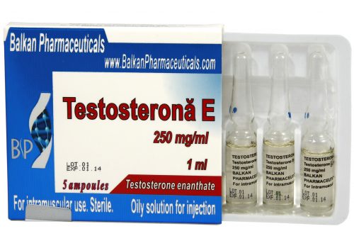 Testosterona E (Test Enanthate) by Balkan Pharmaceuticals