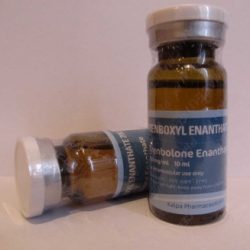 Trenboxyl Enanthate by Kalpa Pharmaceuticals